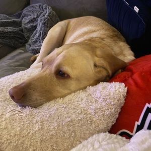 Meet your Posher, Jackie